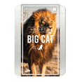 thumbnail image 1 of Gift Republic: Adopt a Big Cat, 1 of 10