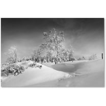 Trademark Fine Art "Dressed For Winter B&W" Canvas Art by Philippe Sainte-Laudy