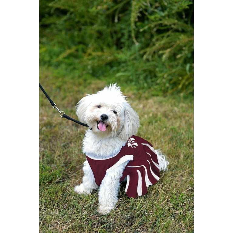 Msu dog sweater hotsell