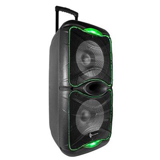 Haut-parleur Double Cyclone de 12 Po