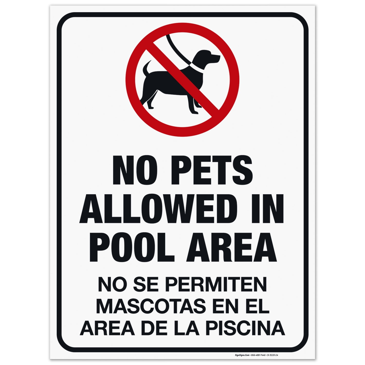 Are Dogs Allowed In The Pool Area