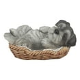 thumbnail image 3 of Ebros Realistic Miniature Schnauzer Puppy Figurine 7" Long Lifelike Schnauzer Dog Sleeping in Wicker Basket Statue, 3 of 5