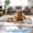 Coffee, variant on Summer Dog Cooling Mat Pet Cooling Pads Sleeping Kennel Mat Ice Silk Cool Mat Portable Breathable Dog Bed Mats for Small Medium Dogs & Cats Indoor & Outdoor Travel (Dark Grey, 16''×12'')