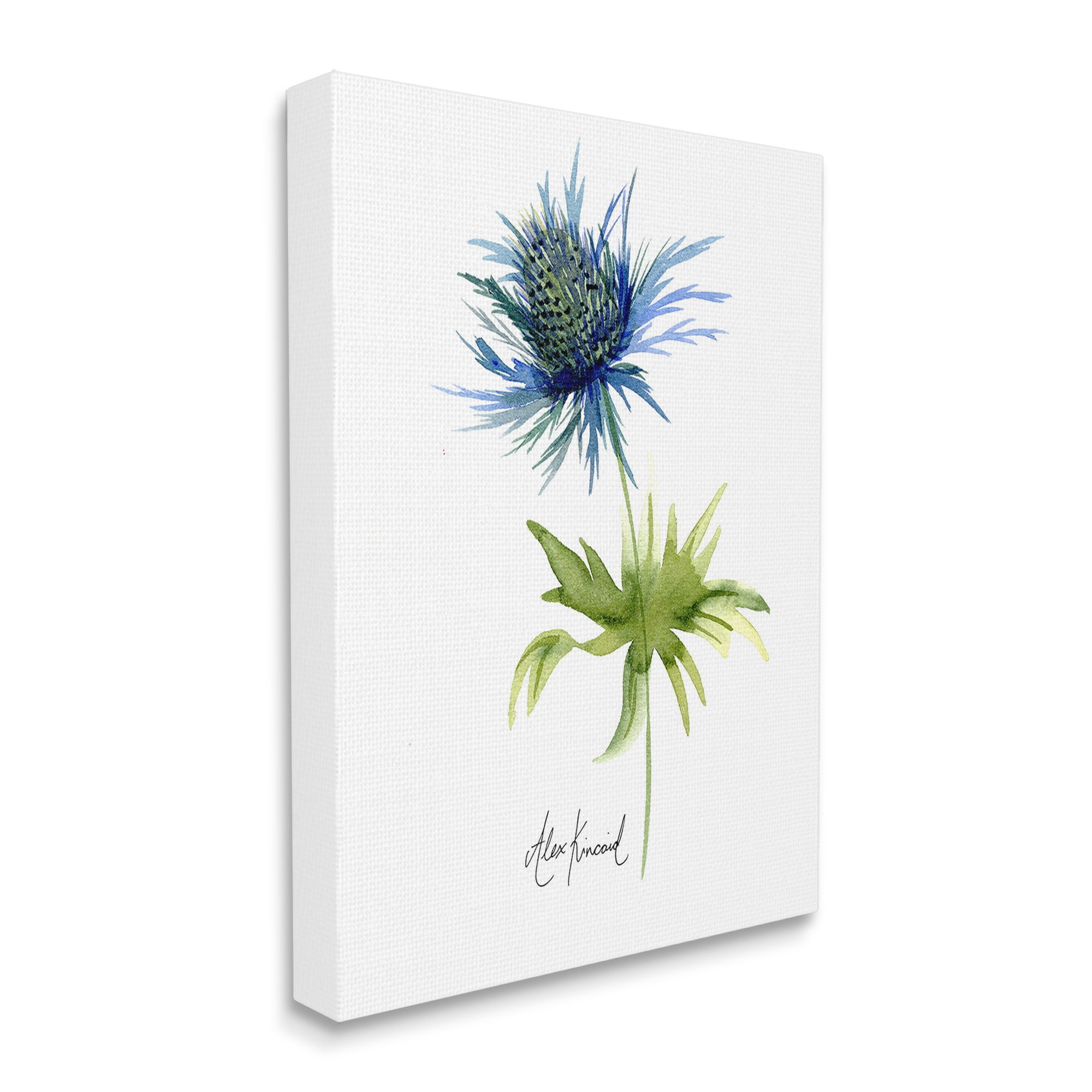 Stupell Industries Minimal Thistle Flower Botanical & Floral Painting Gallery Wrapped Canvas Art Print Wall Art, 16 x 20