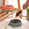 thumbnail image 4 of Pet Cat Food Bowl, Anti-slip and Anti-knock, Slow Food Bowl, Dog Anti-choking Bowl, Cat Stop Eating, Healthy Bowl, Educational Food Ware Batch, 4 of 9