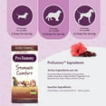 thumbnail image 5 of Amber NaturalZ ProTummy Stomach Comfort for Pets | For Occasional Upset Stomach 1oz, 5 of 6