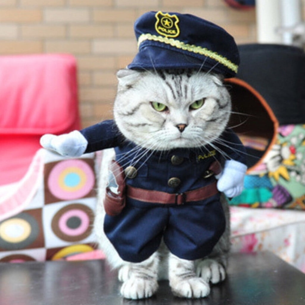 Funny cat outfit sale