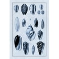 thumbnail image 2 of Sowerby, G.B. 17x24 Gold Ornate Wood Framed with Double Matting Museum Art Print Titled - Shells: Convoltae and Orthocerata (Blue), 2 of 4