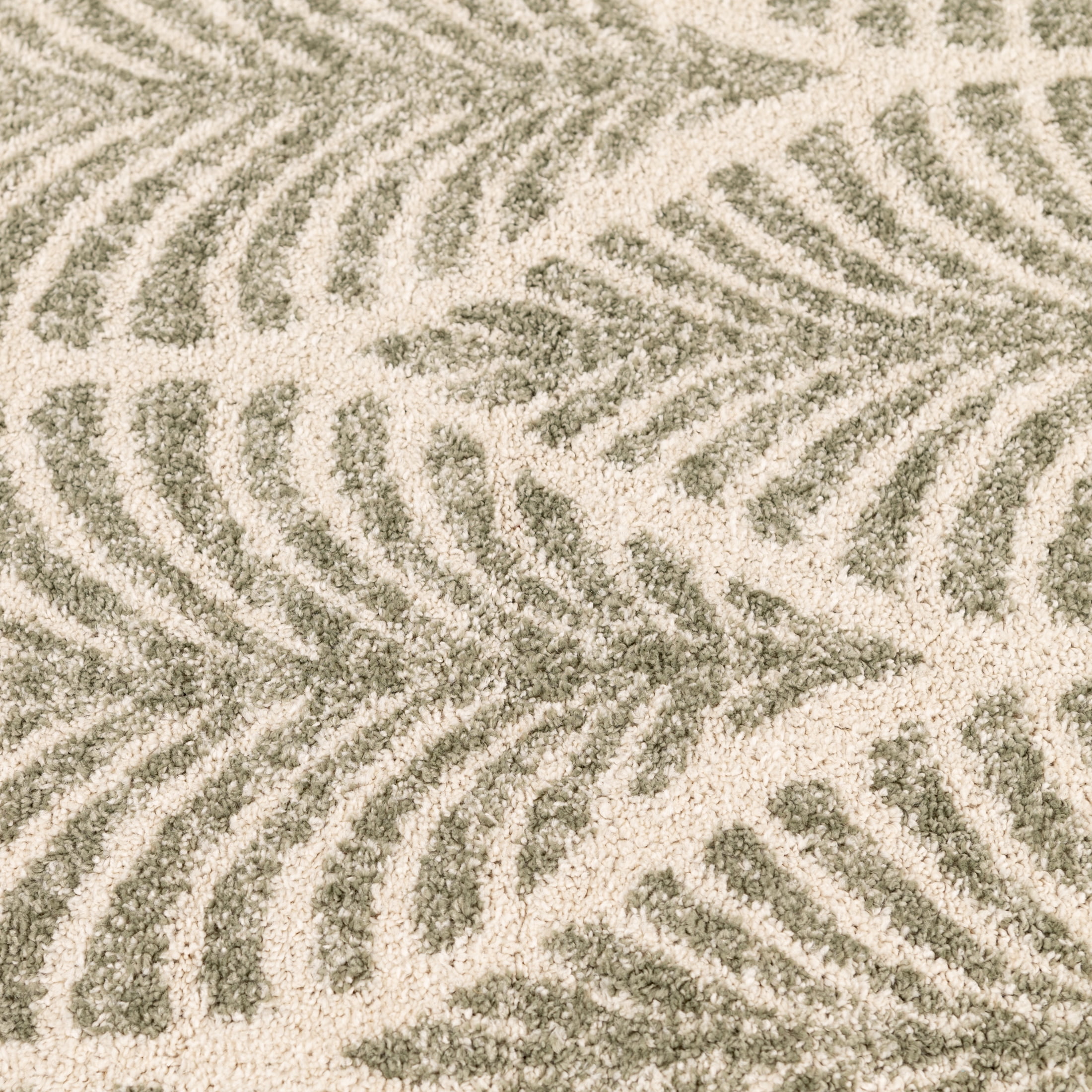 Mainstays Green Palm Leaf Indoor Area Rug, 5'x7'