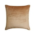 thumbnail image 6 of Decorative Beige 22"x22" (55x55 cm) Pillow Covers, Velvet Double Side, Top Zipper Leather Puller Throw Pillows For Sofa, Solid Color Pattern Modern Style - Velvet Beige Jules, 6 of 10