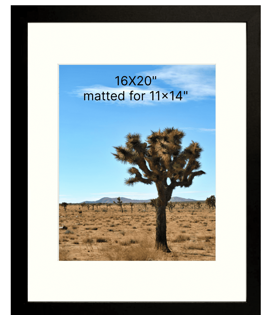 Uspridefurniture 16x20 MDF Picture Frame,Set of 8,Black