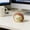 B, variant on Cute Kawaii Animal Design Tension Relief Balls Desk Ornament Party Supplies