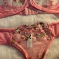 thumbnail image 4 of Lencería Sexy rosa para mujer, ropa interior transparente de encaje, conjuntos de bragas con bordado de hadas, sujetador delicado, conjuntos de bragas eróticas, 4 of 4