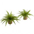 thumbnail image 1 of Boston Fern With Burlap Planter - Set of 2, 1 of 1