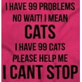thumbnail image 2 of I Have 99 Problems I Mean Cats Funny Hoodie Sweatshirt Women Brisco Brands S, 2 of 6