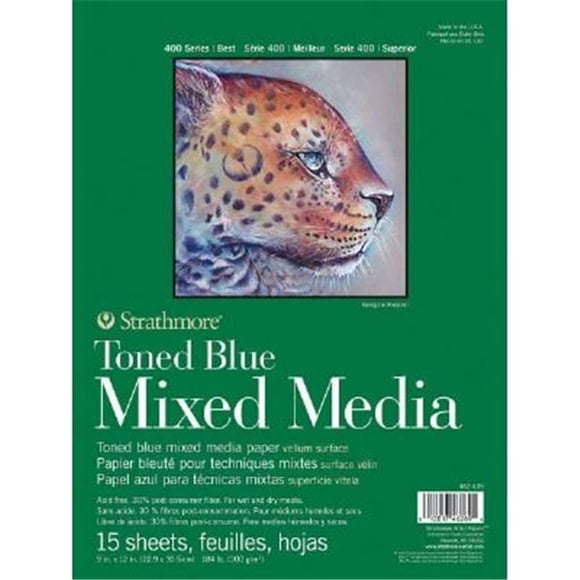 Alvin ST462-409 9 x 12 in. 400 Series Toned Mixed Media Pad