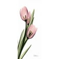 thumbnail image 2 of Koetsier, Albert 12x24 Black Ornate Wood Framed with Double Matting Museum Art Print Titled - Tulips in Pink, 2 of 4