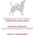 thumbnail image 5 of Purina ONE SmartBlend Digestive Health Formula Chicken Dry Dog Food, 9.5-kg bag, 5 of 5