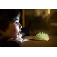 thumbnail image 4 of Kit de cultivo Glow Crystal para cultivar cristal, experimento DIY de 4 m, 4 of 6