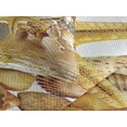 thumbnail image 3 of Ambesonne Beach Quilted Coverlet 3 Pcs, Sea Shells and Starfish, Queen Size, Earth Yellow Cream, 3 of 4