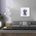 thumbnail image 4 of Epic Graffiti 'Colorful Watercolor German Shorthaired Pointer 2' by Furbaby Affiliates, Canvas Wall Art, 37"x37", 4 of 8