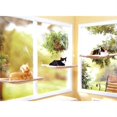 thumbnail image 4 of CAROOTU Cute Function Sunny Seat Window Mounted Cat Bed Pets Bed, 4 of 5