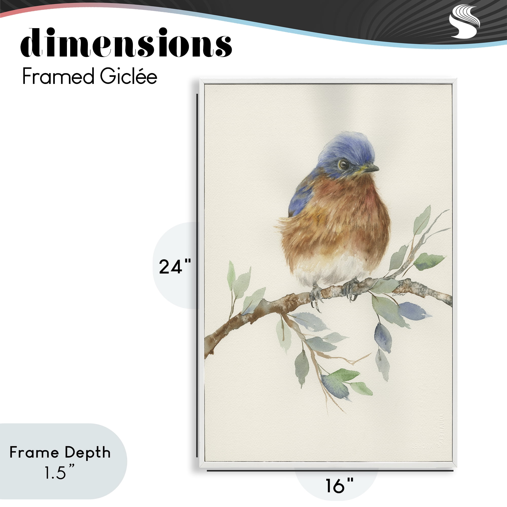 Stupell Industries Songbird Perched on Branch White Framed Giclee Art, design by Cady Driver