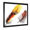 thumbnail image 2 of Designart 'Colourful Boho Art Feathers IV' Bohemian & Eclectic Framed Art Print, 2 of 4