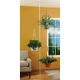SPRING TENSION ROD INDOOR PLANT POLE WITH 3 ADJUSTABLE ARMS