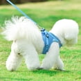 thumbnail image 4 of Reflective No-Pull Dog Harness – Adjustable Padded Pet Vest with Front D-Ring & Back Clip, Reflective Strips for Night Walk Safety, Escape-Proof Buckle for Small Med Large Dogs, 4 of 5