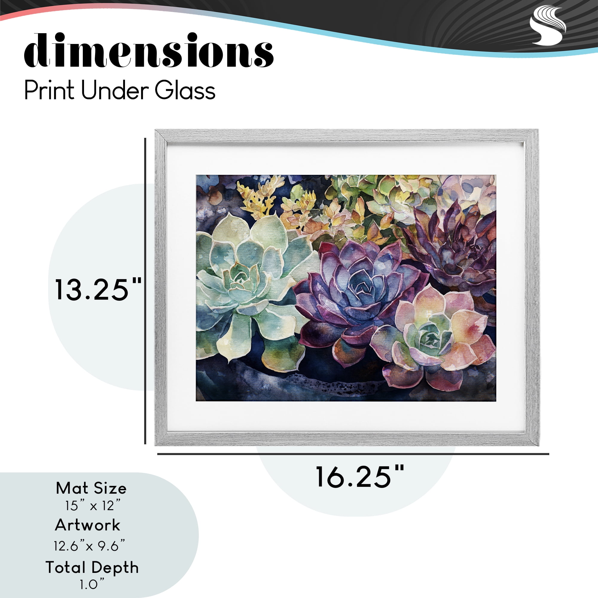 Stupell Industries Tutti Succulents Collection Gray Framed Print Under Glass, design by Svetlana Aleynikova