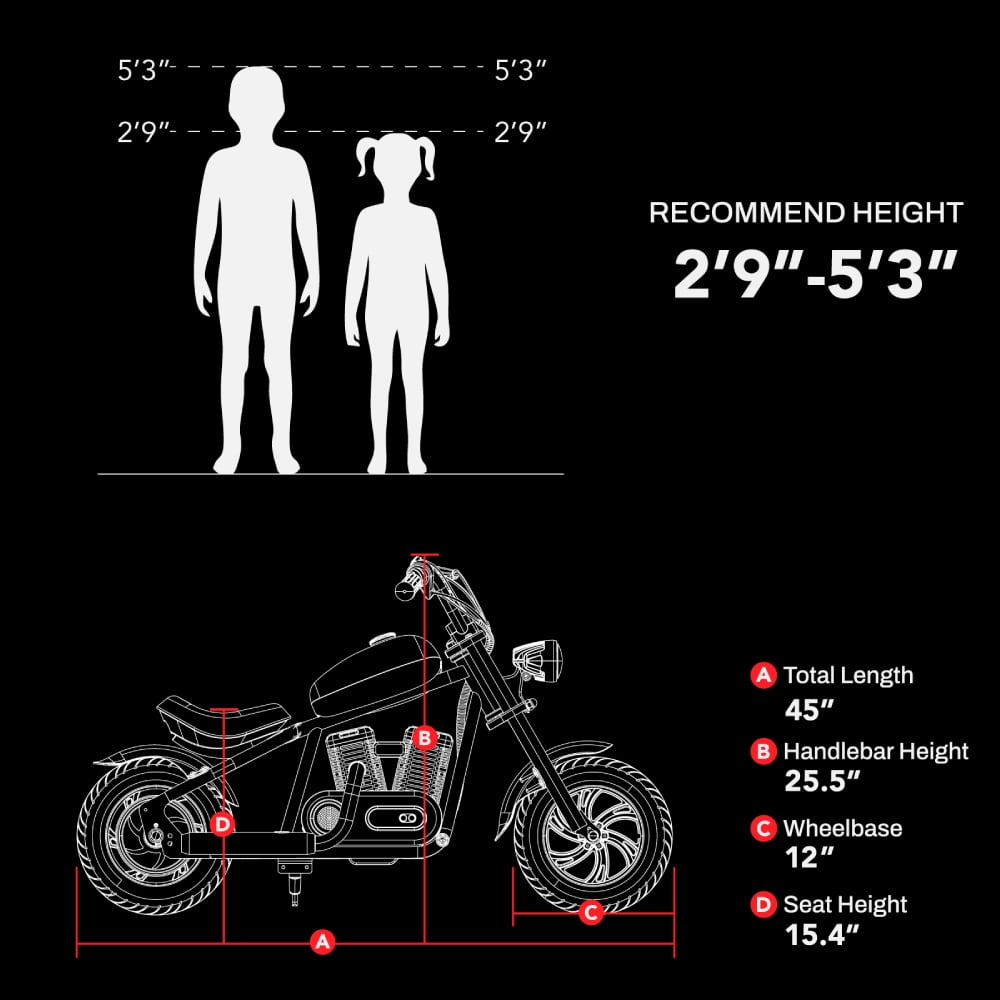 HyperGoGo Dirt Retro Bike Electric Motorcycle