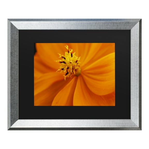 Trademark Fine Art 'Orange Flower' Canvas Art by Kurt Shaffer