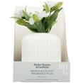 thumbnail image 4 of Better Homes & Gardens Aroma Accent Fragrance Plug, Flower Pot, 4 of 6