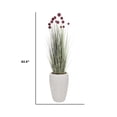 thumbnail image 3 of Artificial red Pampas Grass | 63.5” | Home Decor By Vintage Home, 3 of 5