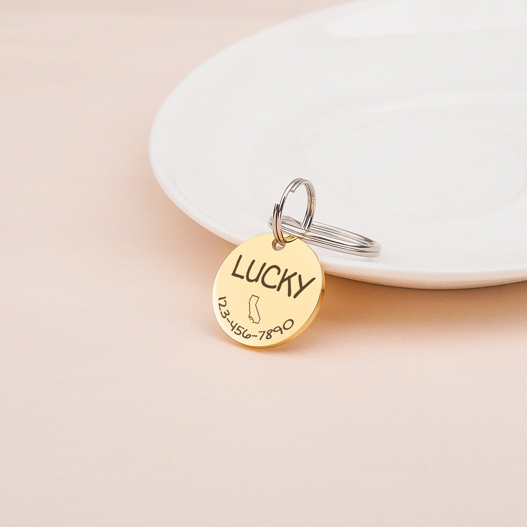Anavia Stainless Steel Metal Round Name - State - Phone Number Birthday Holiday Christmas Engraved Dog Cat ID Tag, Gold