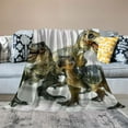 thumbnail image 2 of SHERONV Dinosaur Warm Lightweight Blanket Soft Fleece Throw Blanket Living Room Sofa Decor Cow Gifts All Seasons Flannel Material Blanket 40x50in, 2 of 6