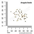 thumbnail image 3 of Ferry-Morse Organic 500MG Roquette/ Arugula Annual Vegetable Seeds, Full Sun, 3 of 11