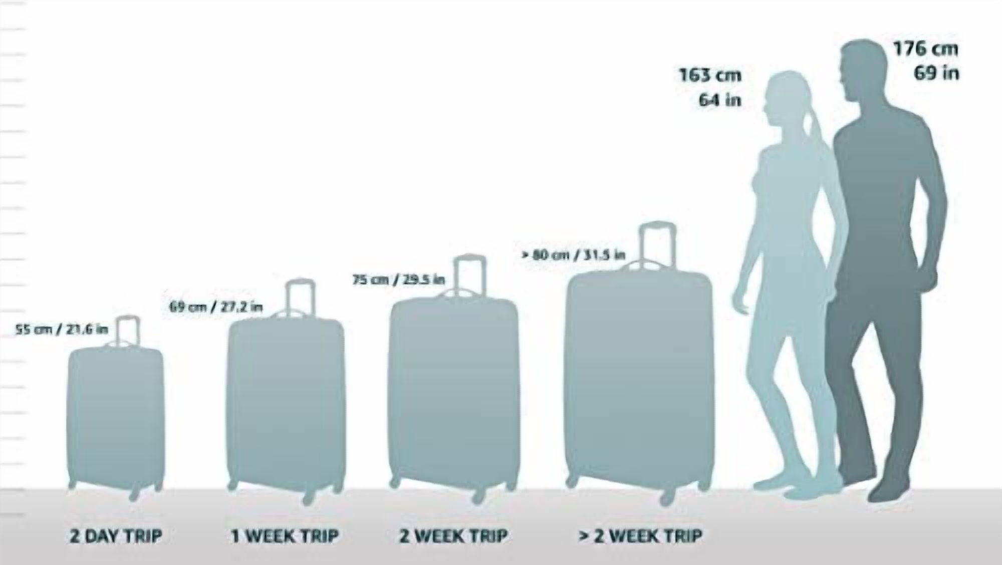 Rockland Adult 1-Piece Solid Print Hardside Checked Luggage, Blue