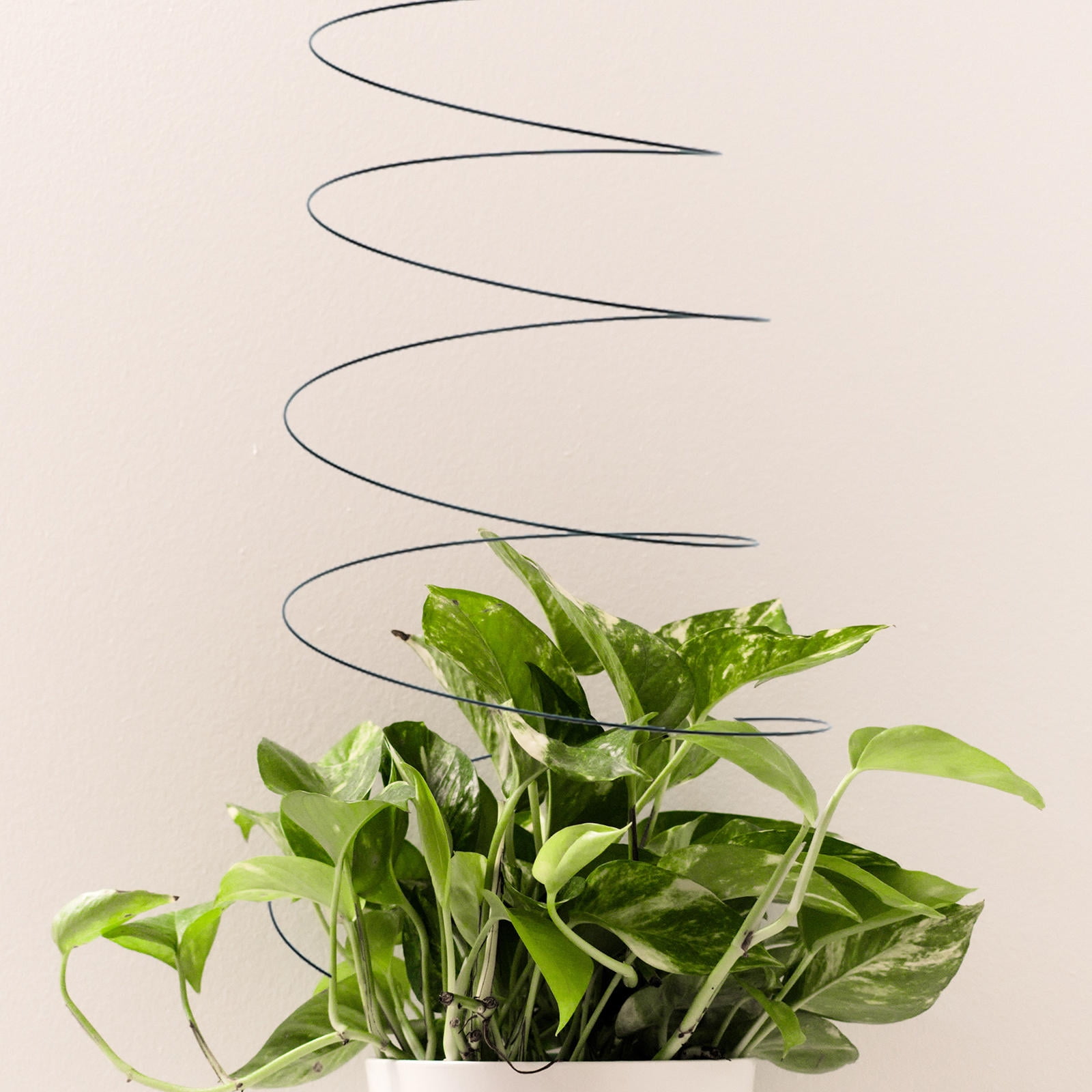FENGGUIQU 2Pcs Spiral Plant Climbing Trellis in Green Durable Stainless Steel for Home Garden