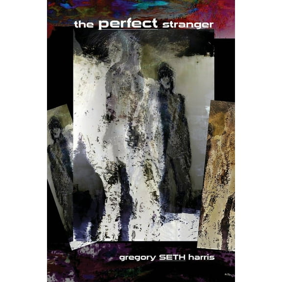 The Perfect Stranger, (Paperback)