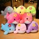 thumbnail image 2 of 1Pc 12CM New Cute Animal Dolphin Plush Toy Small Pendant Keychain Bag Decoration, 2 of 7