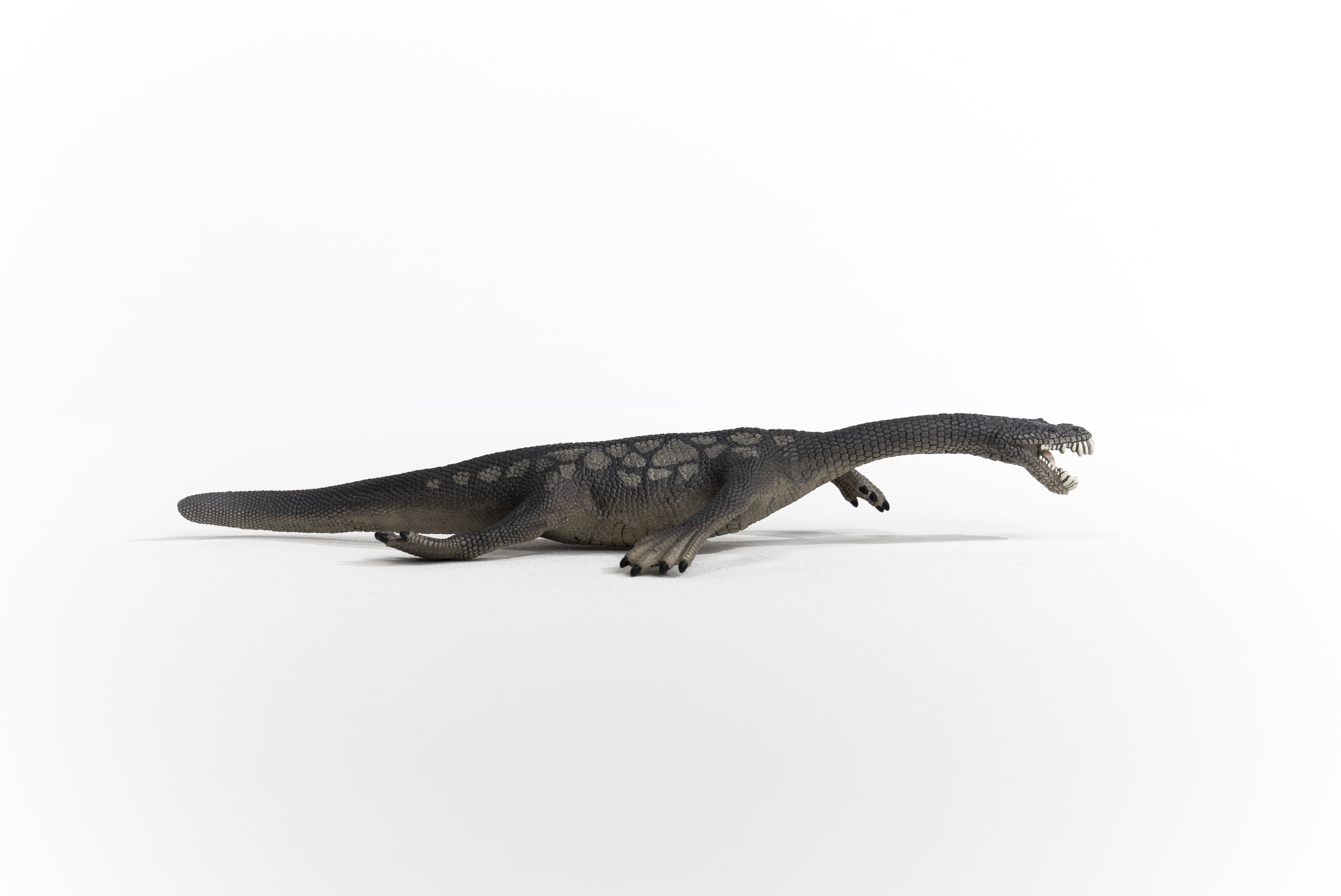 Schleich Dinosaurs - Large Dinosaur Toys for Boys and Girls- Realistic Nothosaurus Toy Figurine- Ages 4+