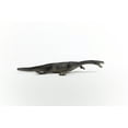 thumbnail image 4 of Schleich Dinosaurs - Large Dinosaur Toys for Boys and Girls- Realistic Nothosaurus Toy Figurine- Ages 4+, 4 of 7