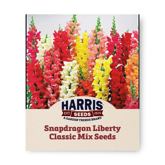 Harris Seeds - Snapdragon Liberty Classic Mix F1 Flower Seeds - 500 Seeds