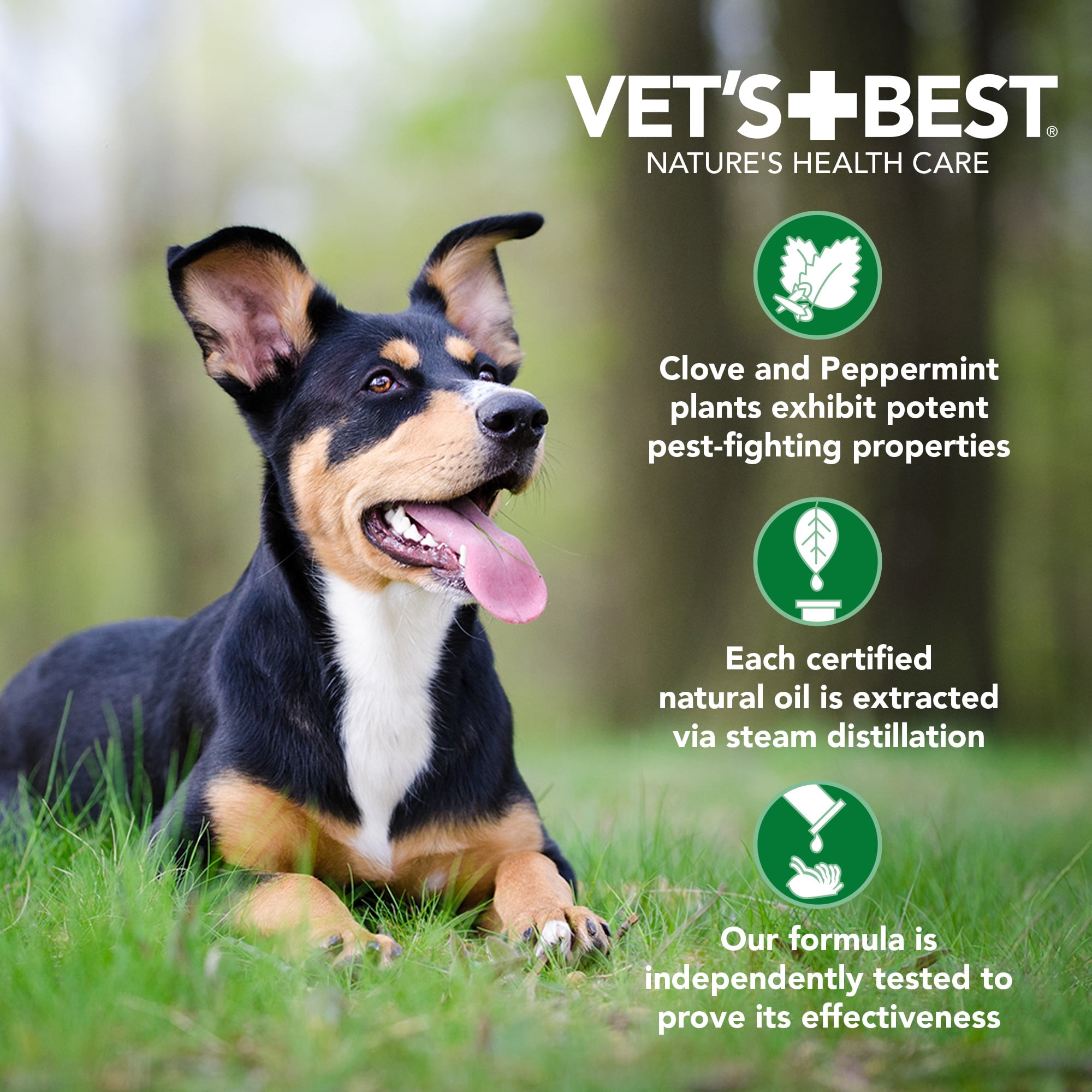 Vet's Best Anti-Flea Spray Shampoo for Dogs - 16 oz.