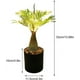 thumbnail image 3 of Lampara De Noche Tipo Palmera Con Luz Led Y Piedras Decorativas, 3 of 5