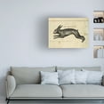 thumbnail image 2 of Marcee Duggar 'The Hare' Canvas Art, 2 of 4