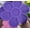 Purple, variant on Rubber Floating Outdoor Drinking Station, Portable 29.13in Inflatable Drink Holder for Pool & Lake Party, Yellow