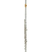 Yamaha YFL-462 Intermediate Flute Offset G B-Foot, Gold Lip-Plate